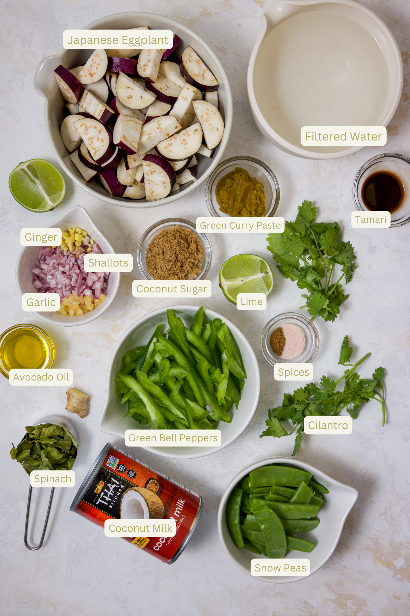 green curry ingredients