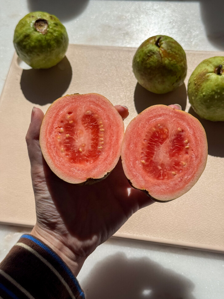 guava pineapple agua fresca-17