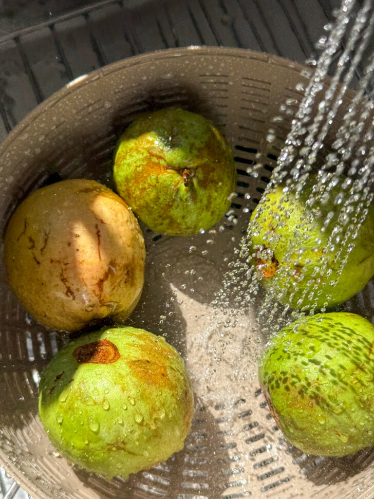 guava pineapple agua fresca-18