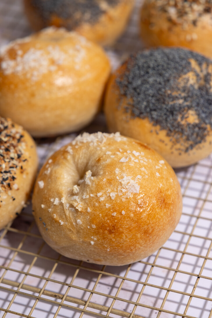 new jersey style sourdough bagels