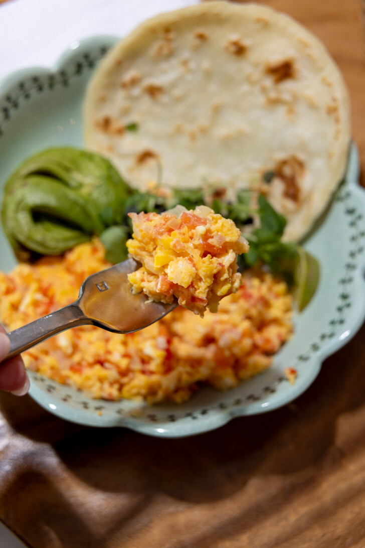 huevos pericos-02